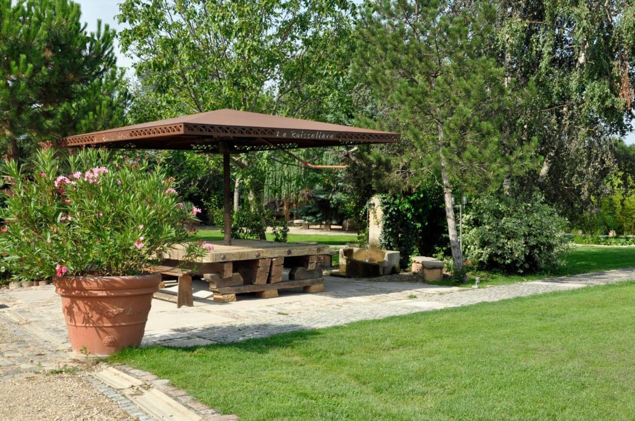 Domaine De La Ruisseliere Hotel Lacenas Bagian luar foto