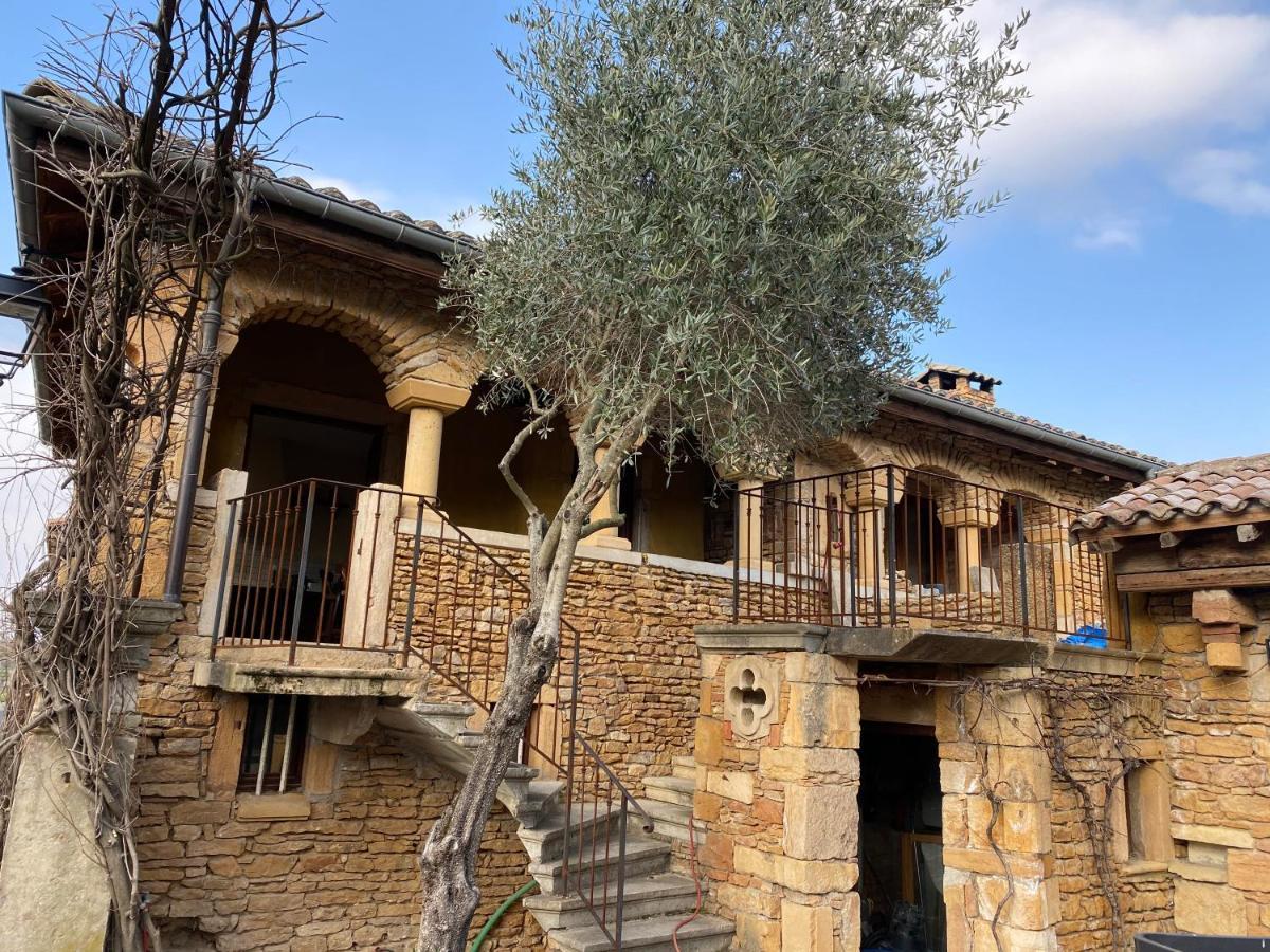 Domaine De La Ruisseliere Hotel Lacenas Bagian luar foto
