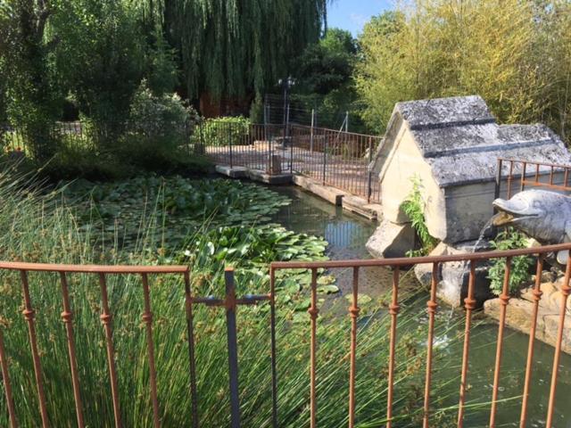 Domaine De La Ruisseliere Hotel Lacenas Bagian luar foto